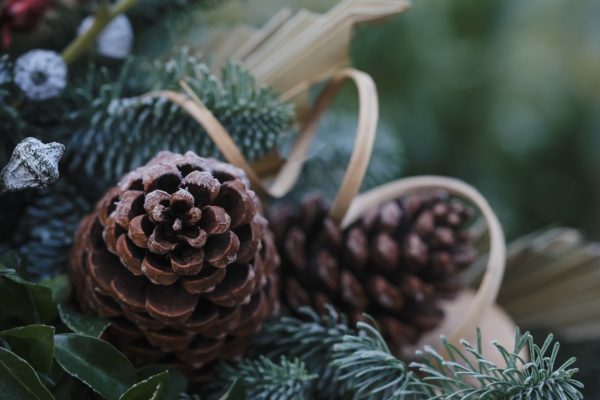 pinecone, advent, christmas-7610650.jpg